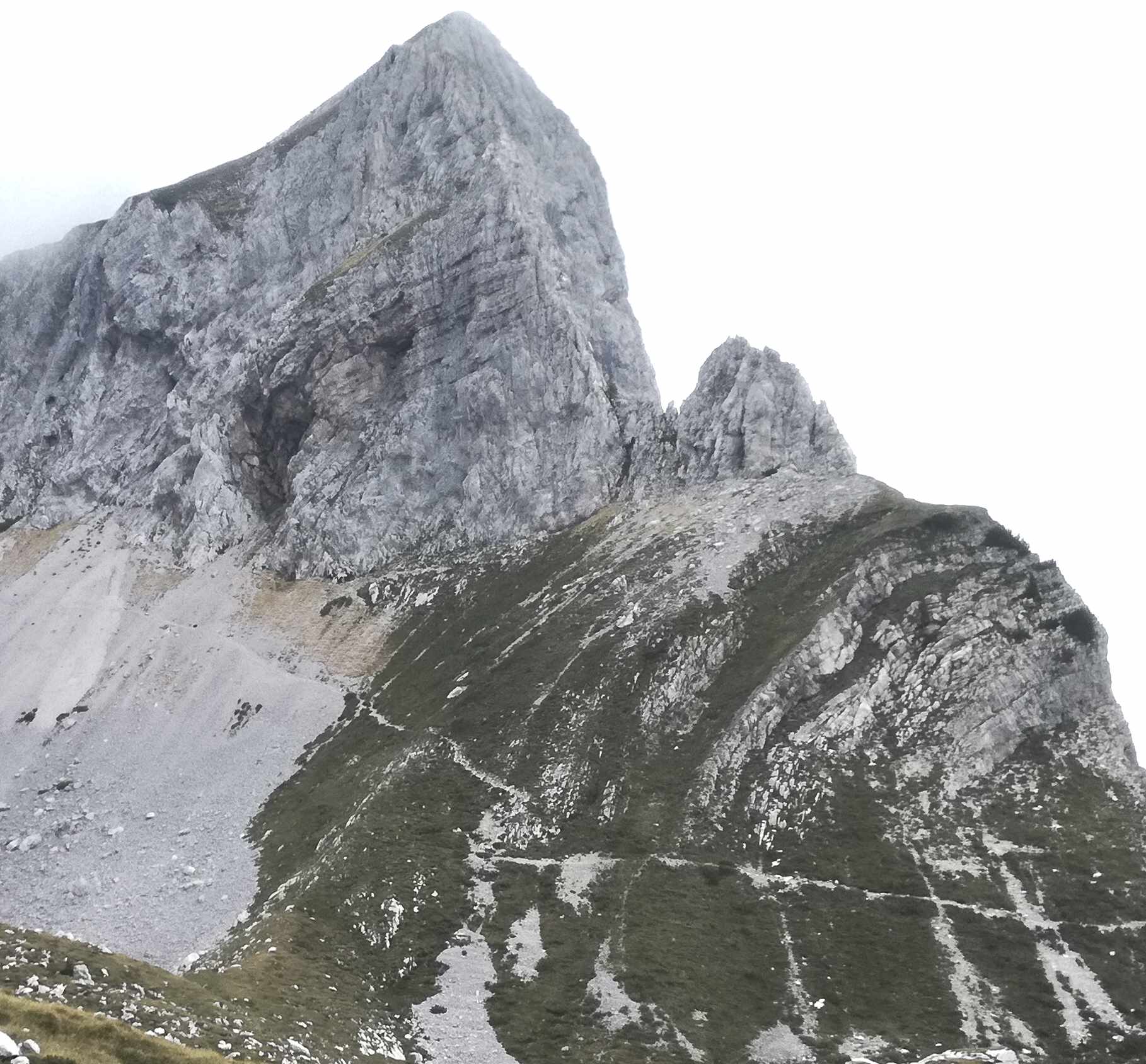 A caccia di Chilostoma nei dintorni del Pizzo Arera